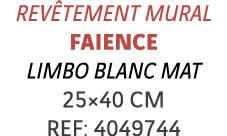 Revêtement mural Faience LIMBO BLANC MAT 25 40 cm REF: 4049744