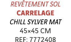 Revêtement sol Carrelage chill sylver mat 45 45 cm REF: 7772408
