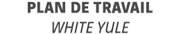 Plan de travail White Yule