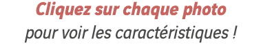 Cliquez sur chaque photo pour voir les caractéristiques  